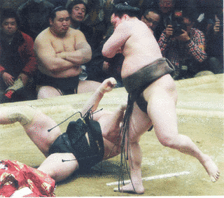 栃富士勝健の画像