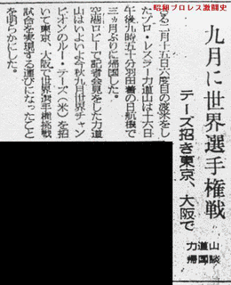 玉ノ川正行の画像