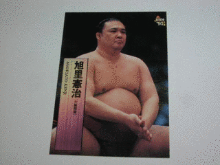 朝嵐大三郎の画像