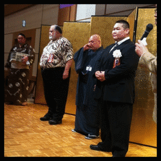 太閤丸豊の画像