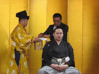 千代天山大八郎の画像