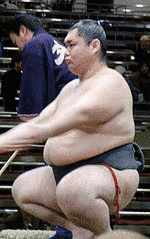 大真鶴健司の画像