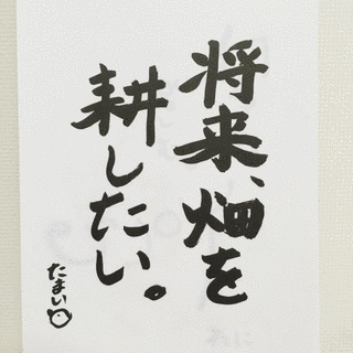 朝天舞晴多の画像