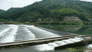 宮崎県出身の大相撲力士の画像