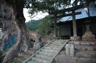 山田川清太郎の画像