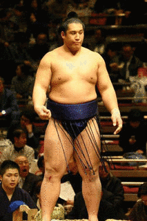 山口県出身の大相撲力士の画像