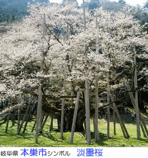 蜂矢敏行の画像