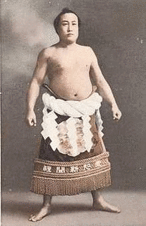 常ノ花寛市の画像