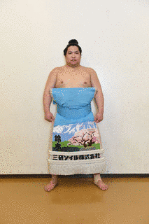 岩手県出身の大相撲力士の画像