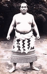 安藝ノ海節男の画像