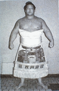 安芸乃島勝巳の画像