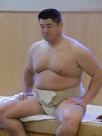 雲仙山尚敏の画像