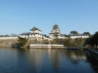 鯉ノ勢寅雄の画像