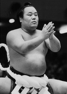 玉の海正洋の画像
