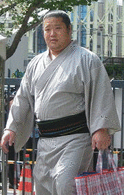 豊乃國大地の画像