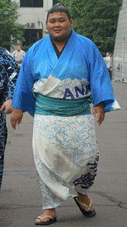 大喜鵬将大の画像