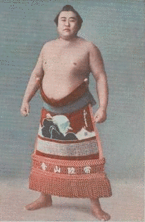 出羽の洲聖の画像