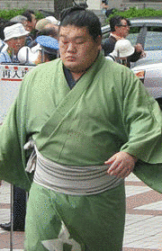 栃木県出身の大相撲力士の画像