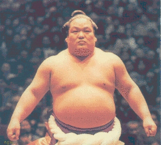 琴櫻傑將の画像