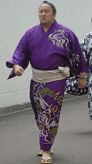 佐田の海貴士の画像
