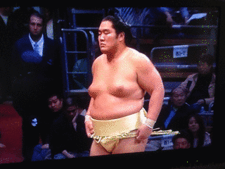 輝大士の画像