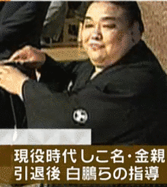 神奈川県出身の大相撲力士の画像
