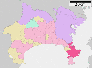 廣川泰三の画像