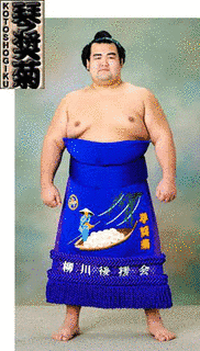 琴奨菊和弘の画像