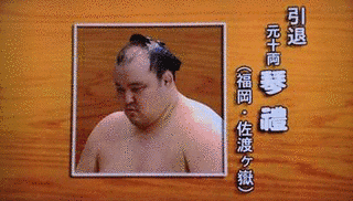 琴禮巨樹の画像