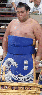 飛天龍貴信の画像
