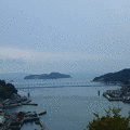 大橋直松の画像
