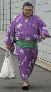 華王錦武志の画像