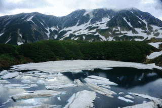 白雄山昇の画像
