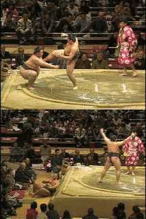 白龍山慶祐の画像