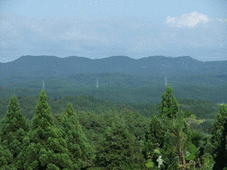 八竜鉄右エ門の画像