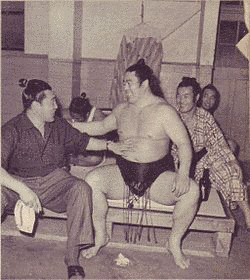 栃天晃正嵩の画像