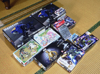 AMD模型の画像