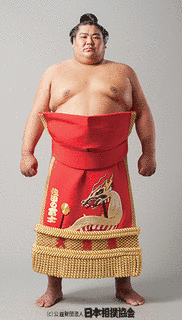 佐田の富士哲博の画像