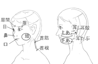 大こう吉男の画像