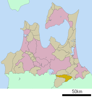 時津浪朋納の画像