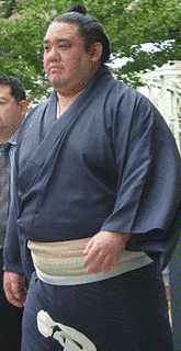 若の里忍の画像
