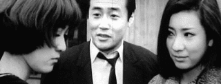芦川絵里の画像
