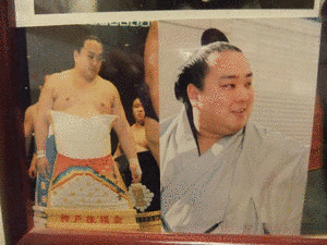 清の富士猛の画像