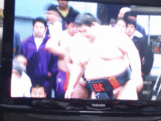 坂元元規の画像
