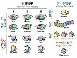 素粒子物理学の画像