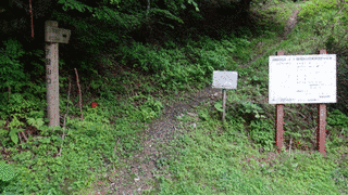 矢筈山登の画像
