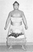 大雄辰實の画像