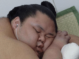 千代丸一樹の画像