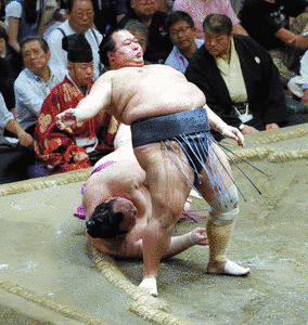 鶴ノ富士智万の画像