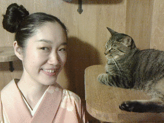 桂猫丸の画像
